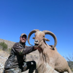 monster-New-Mexico-Aoudad-sheep-web