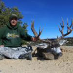Giant-New-Mexico-Mule-Deer,-Unit-2C-guided-hunt-web