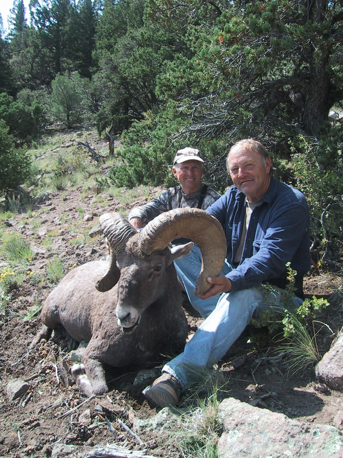 Sheep Hunting in New Mexico Compass West Outfitters Compass West