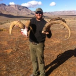 New Mexico Ibex and Nevada sheep