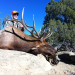 Unit 2 elk hunting New Mexico