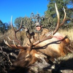 late season New Mexic Elk hunt