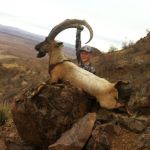 youth ibex guided hunt with compass west outfitters