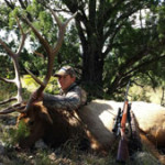Unit 36 late rifle elk hunting