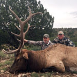 guided elk hunt new mexico