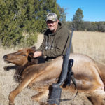 cow elk hunting new mexico