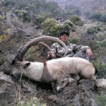 Geführtes Gewehr Jagd Ibex New Mexico