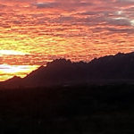 de Jacht op Steenbokken in New Mexico