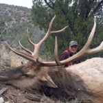 New-Mexico-unit-36-elk
