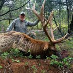big-unit-34-guided-elk-hunting-bull
