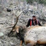 chama-elk-new-mexico-guides
