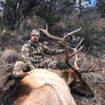 december-guided-elk-in-new-mexico