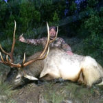 muzzleloader-new-mexico-elk