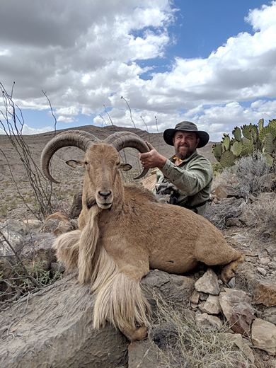 Compass West Outfitters — Aoudad hunt in the field