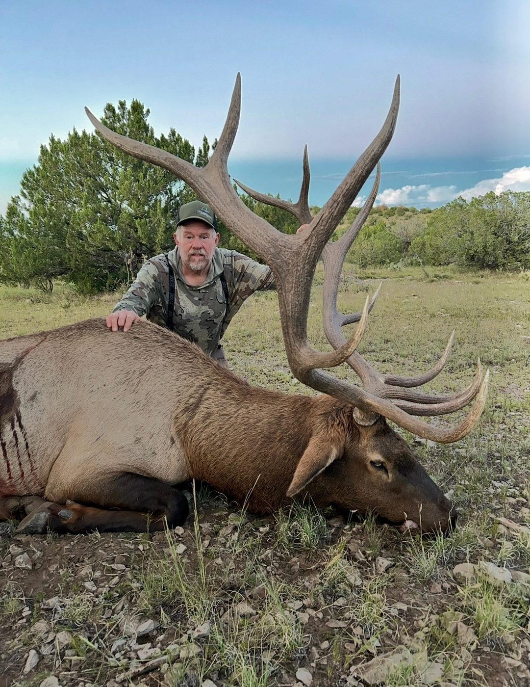 Private-land Unit 30 bull elk