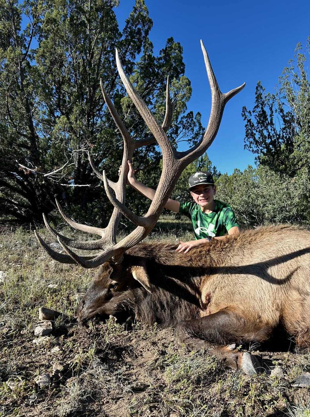 Private-land Unit 30 trophy bull elk