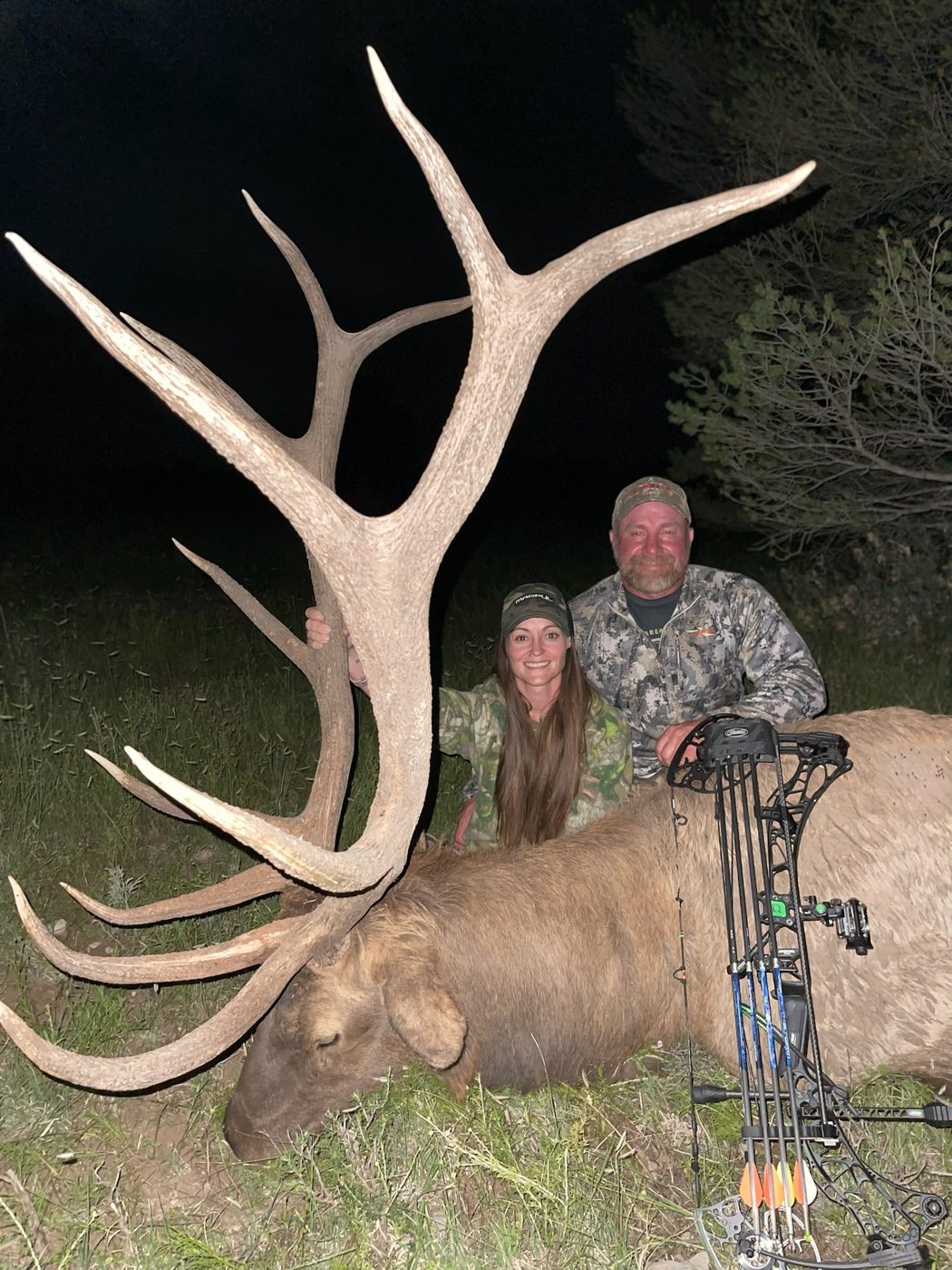Trophy New Mexico bull elk — Unit 34