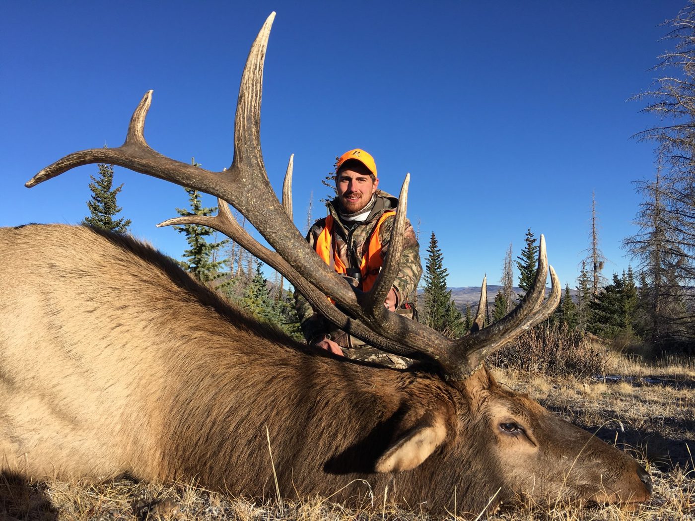 Colorado guided elk and mule deer hunt — GMU 68, 73 and 74
