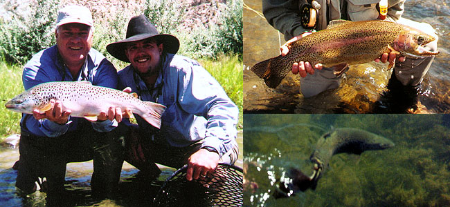 New Mexico Fly Fishing