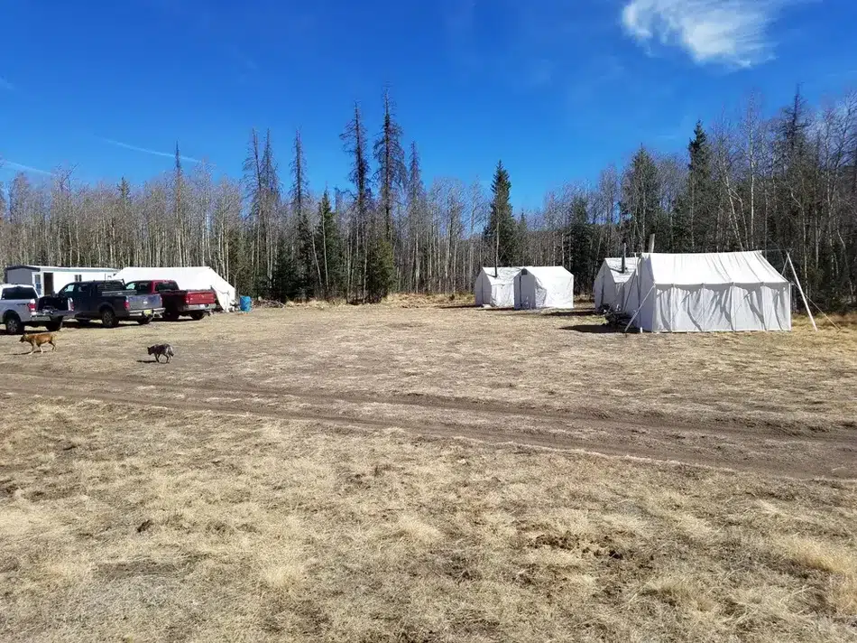 Compass West Outfitters colorado elk hunt