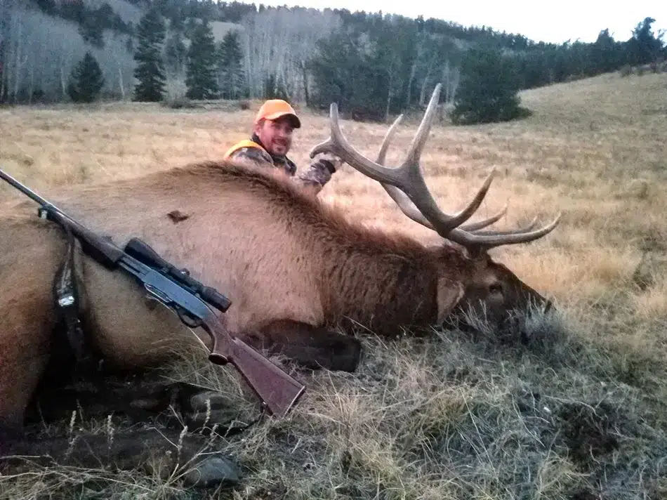 Compass West Outfitters colorado elk hunt