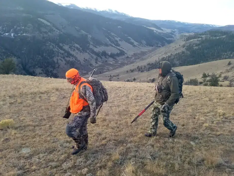 Compass West Outfitters colorado elk hunt