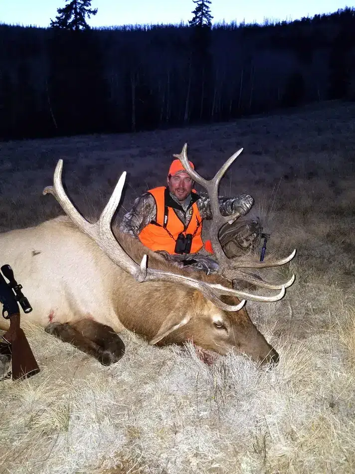 Compass West Outfitters colorado elk hunt