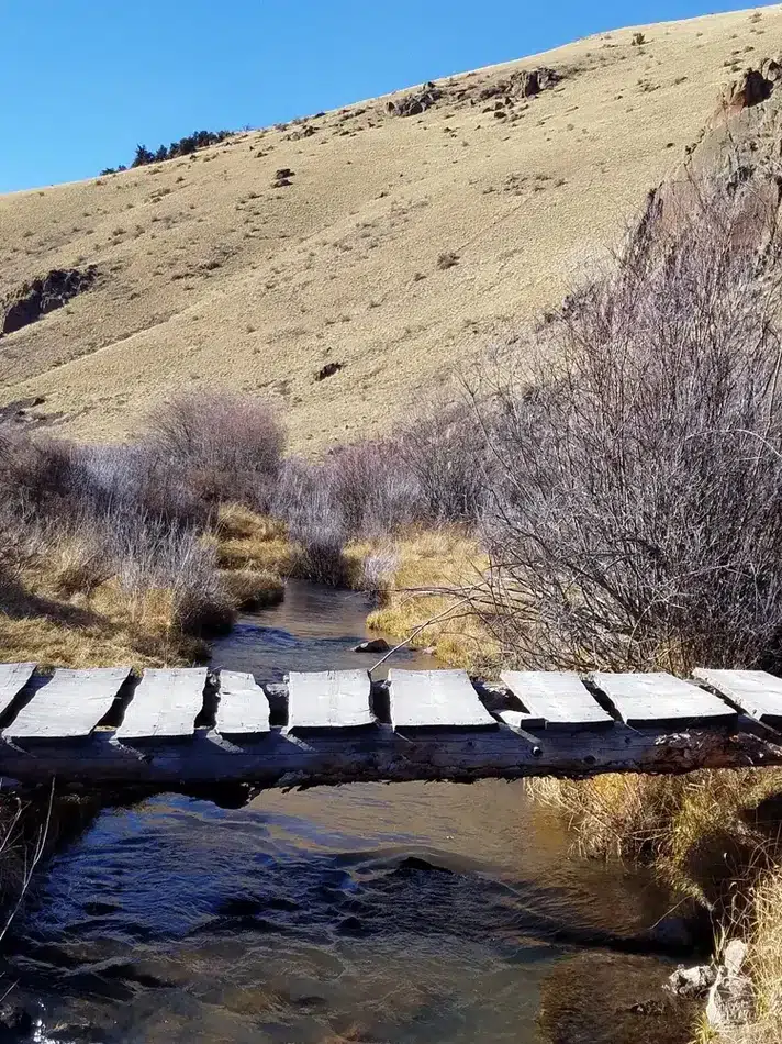 Compass West Outfitters colorado elk hunt
