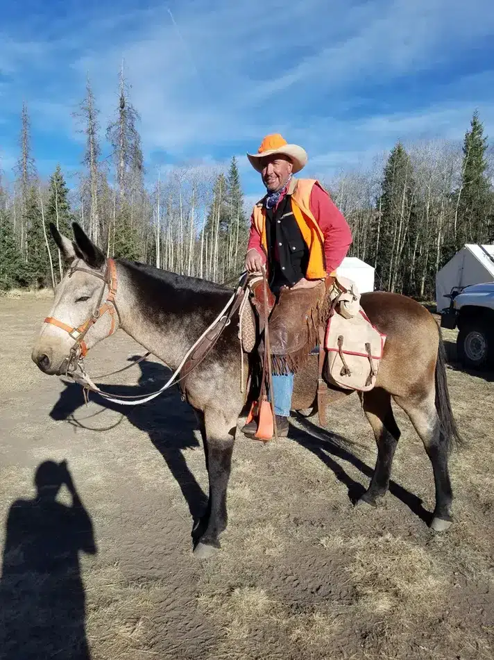Compass West Outfitters colorado elk hunt