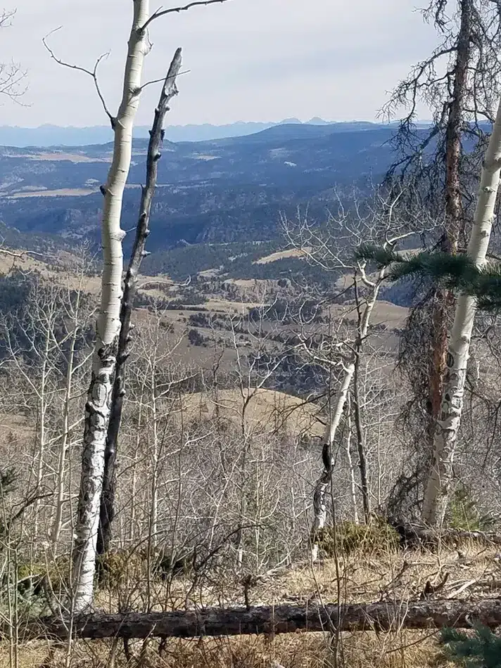 Compass West Outfitters colorado elk hunt