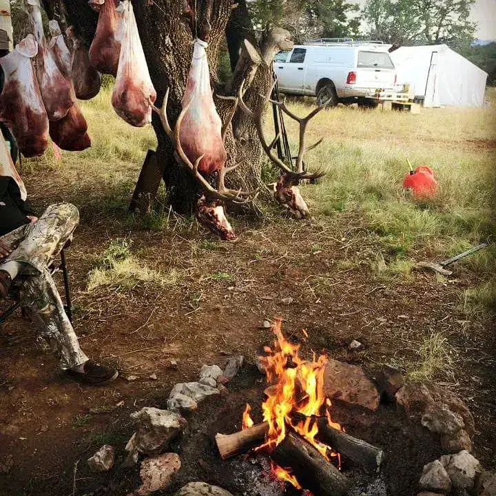 Compass West Outfitters colorado elk hunt