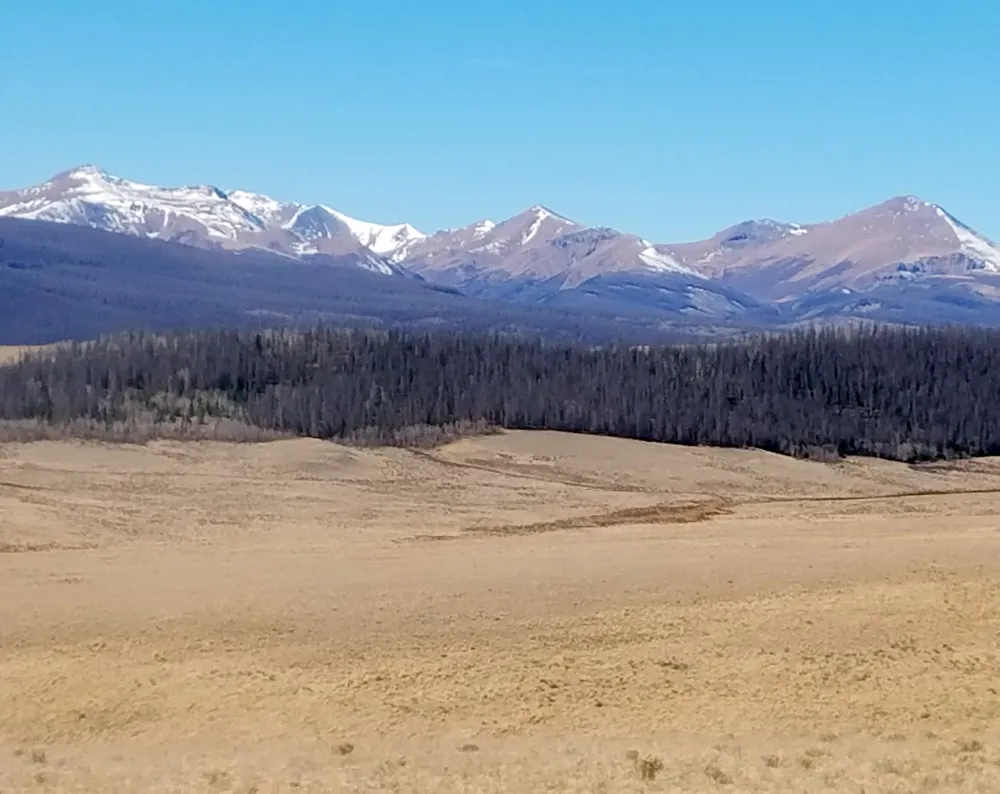 Compass West Outfitters colorado elk hunt