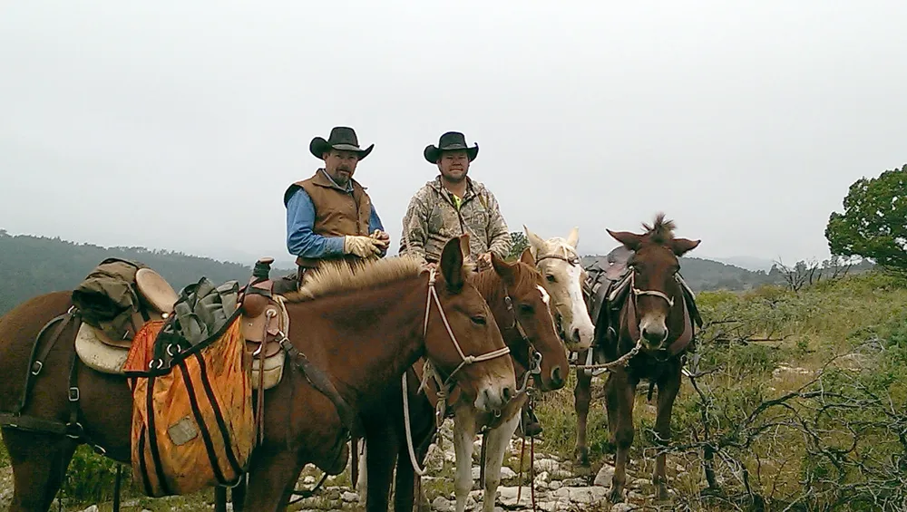 Compass West Outfitters colorado elk hunt