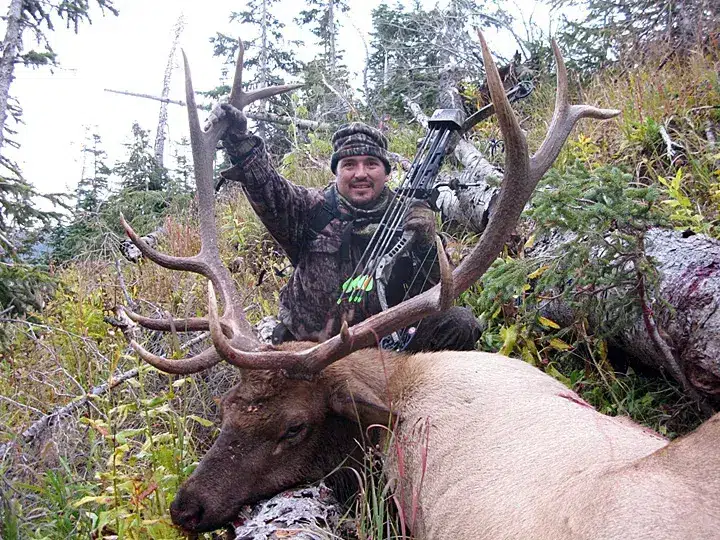 Compass West Outfitters colorado elk hunt
