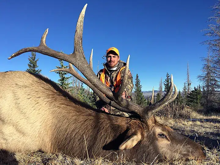 Compass West Outfitters colorado elk hunt