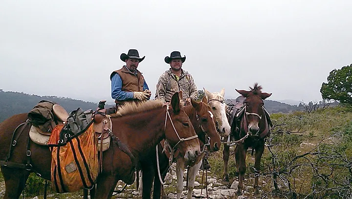 Compass West Outfitters colorado elk hunt