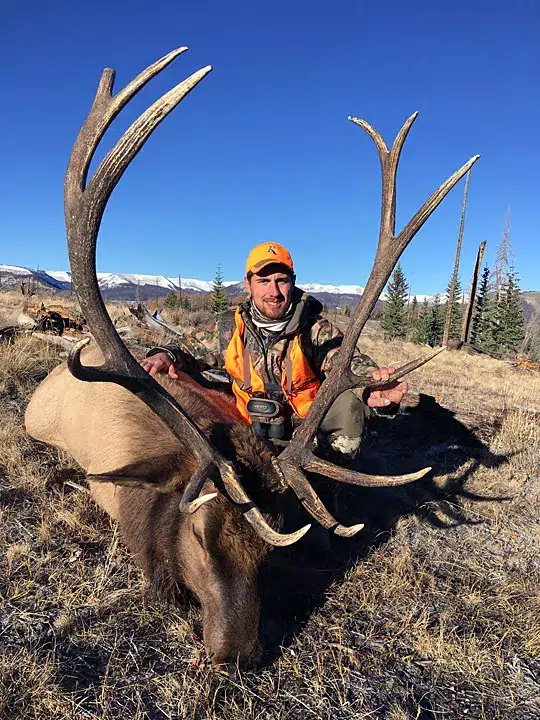 Compass West Outfitters colorado elk hunt
