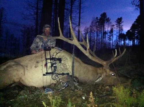 Compass West Outfitters elk hunt