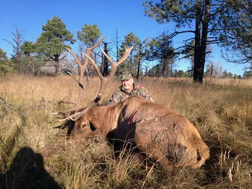 Compass West Outfitters elk hunt