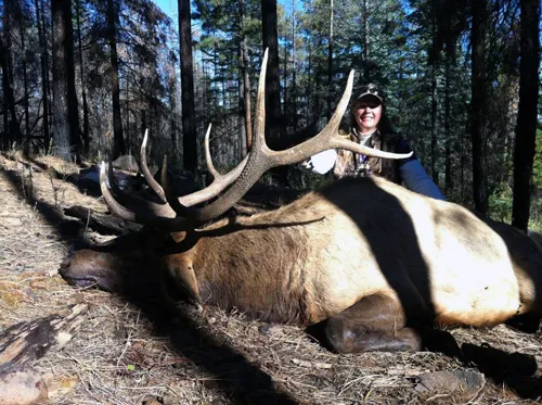 Compass West Outfitters elk hunt