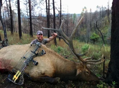 Compass West Outfitters elk hunt