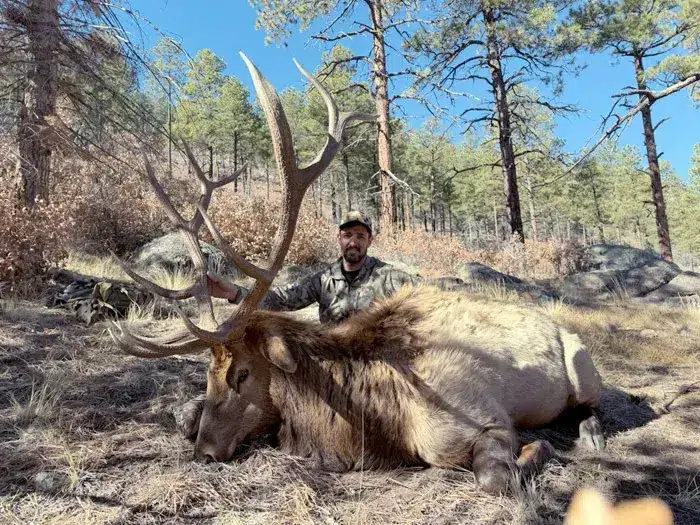 Compass West Outfitters elk hunt