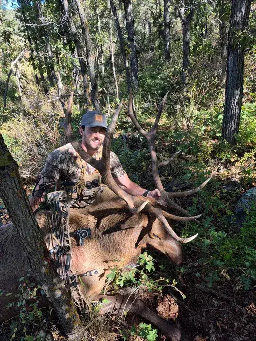 Compass West Outfitters elk hunt