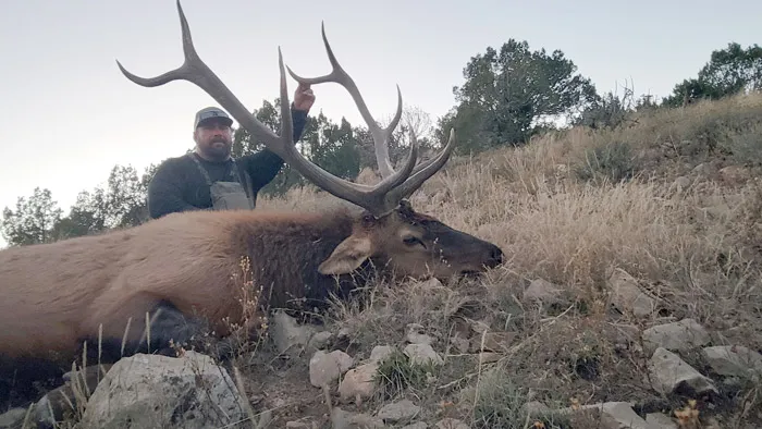 Compass West Outfitters elk hunt