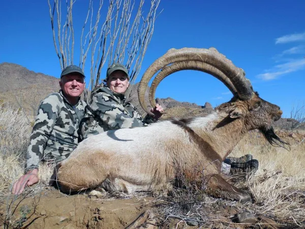 Compass West Outfitters ibex hunt
