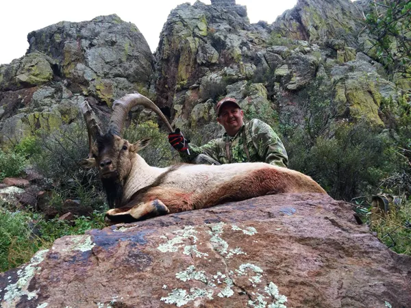 Compass West Outfitters ibex hunt
