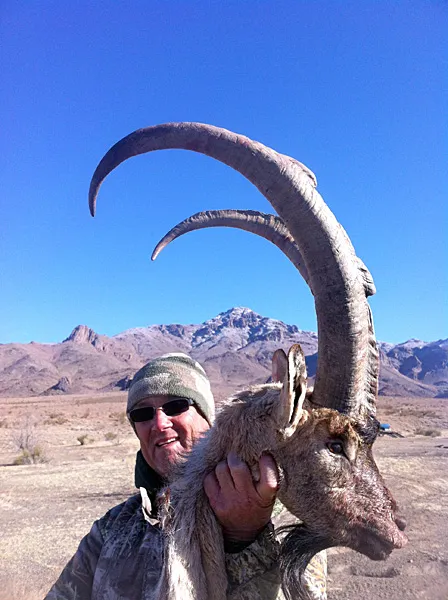 Compass West Outfitters ibex hunt