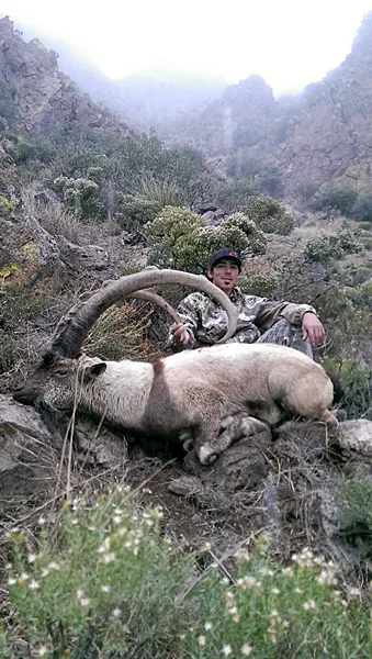 Compass West Outfitters ibex hunt