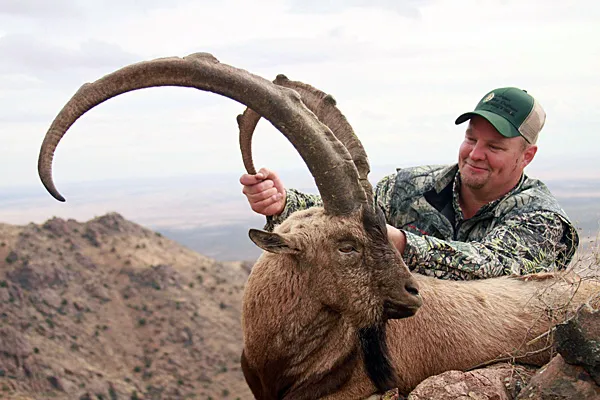 Compass West Outfitters ibex hunt