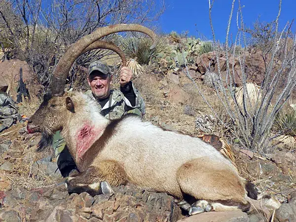 Compass West Outfitters ibex hunt
